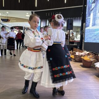 „Din Mureș în Maramureș – punte între ARTA de ieri și copiii de azi”. Proiect care a unit generații prin cultură, tradiție și emoție 9 ARTA 10