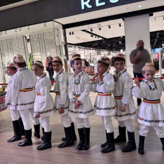 „Din Mureș în Maramureș – punte între ARTA de ieri și copiii de azi”. Proiect care a unit generații prin cultură, tradiție și emoție 11 ARTA 12