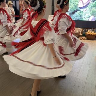 „Din Mureș în Maramureș – punte între ARTA de ieri și copiii de azi”. Proiect care a unit generații prin cultură, tradiție și emoție 17 ARTA 16